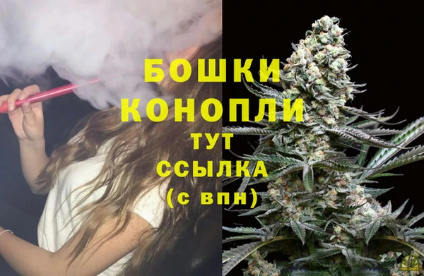 СК Медвежьегорск