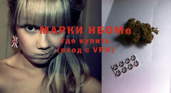 СК Медвежьегорск