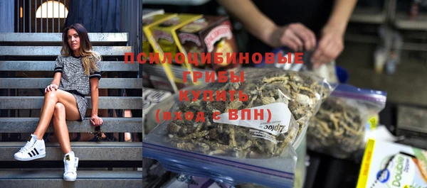 дмт Медногорск