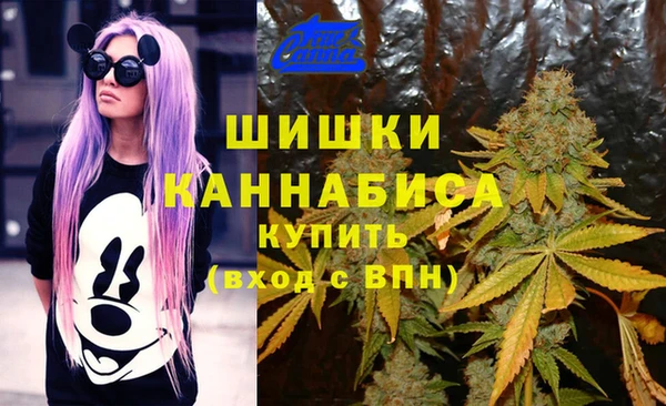 СК Медвежьегорск